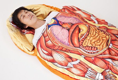 anatomical-model-sleeping-bag