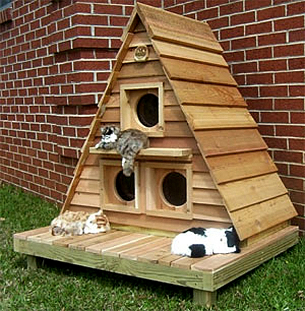 cat-cottage-triplex01