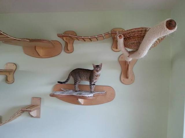 goldtatze_cat_furniture_02