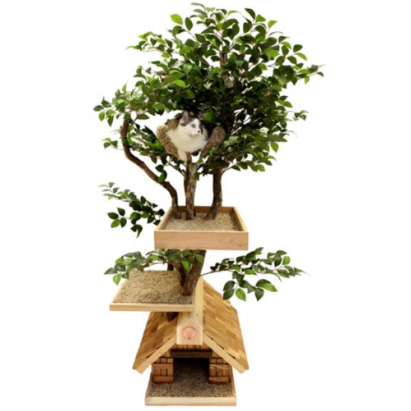 pthmediumtree-600x600