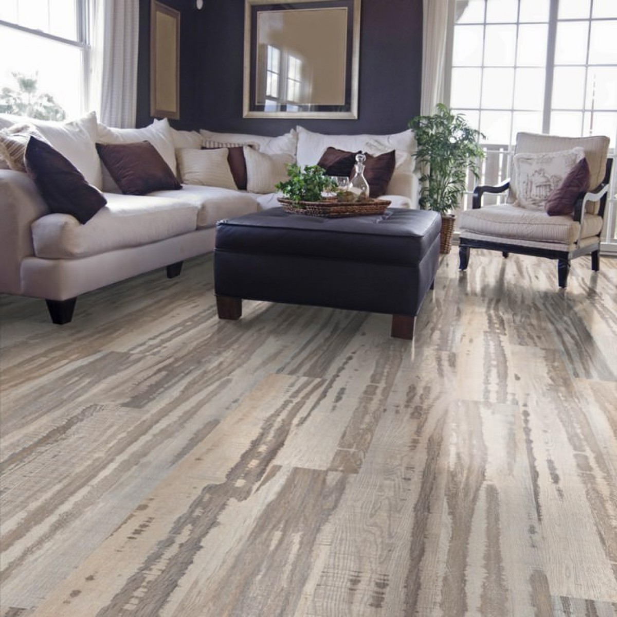 0643_velutina_oak_1s_a01