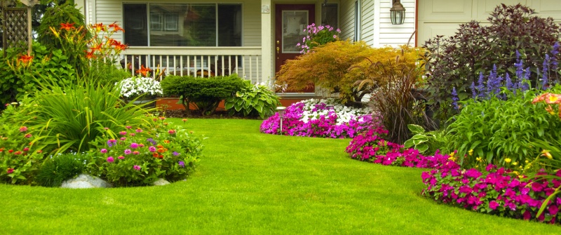 landscaped-yard