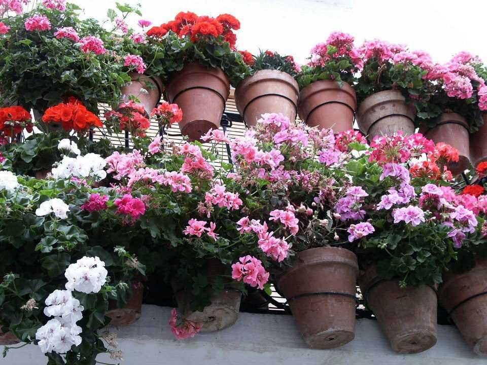 bahçe ve balkon saksı modelleri