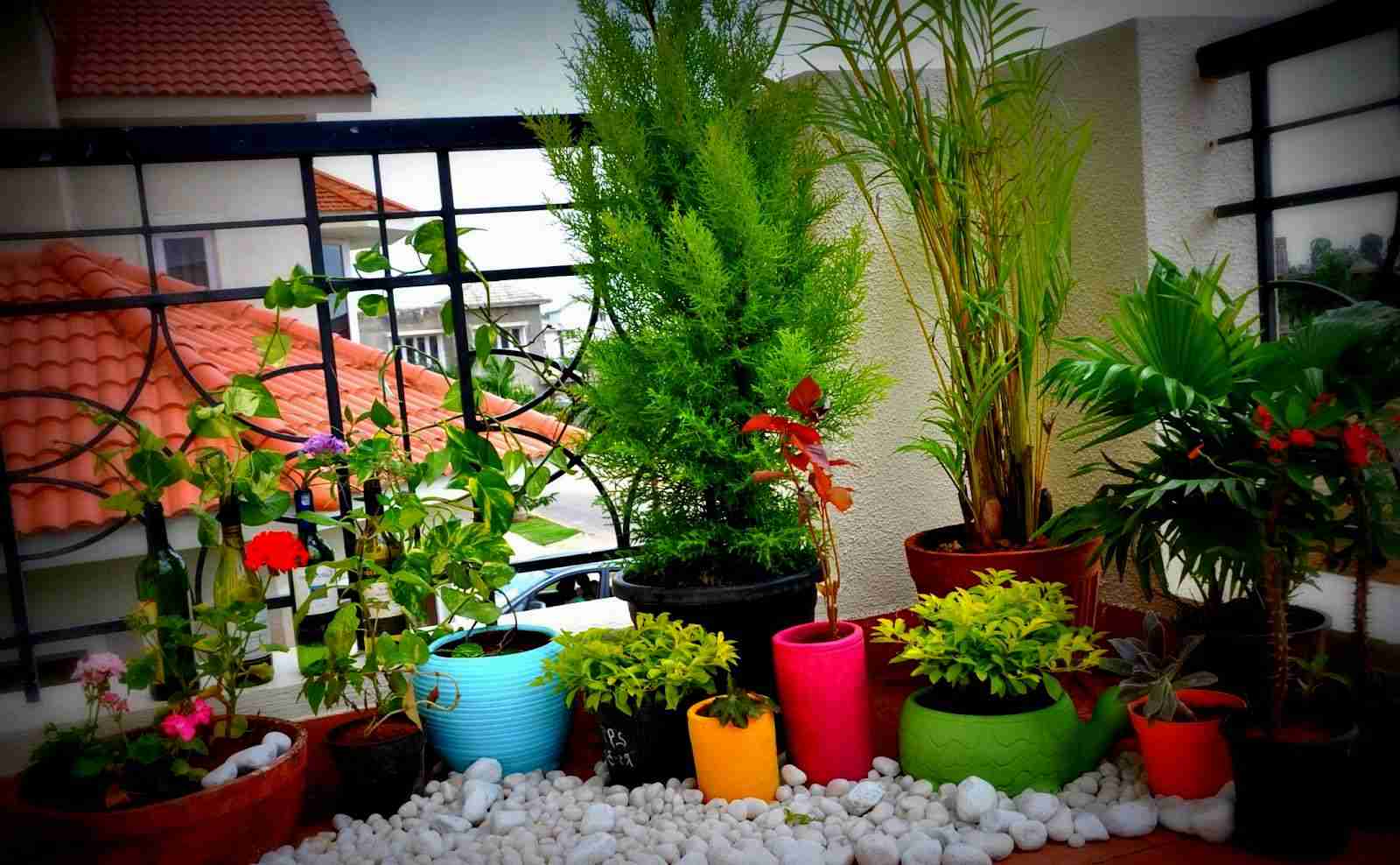 balcony decorating ideas photos