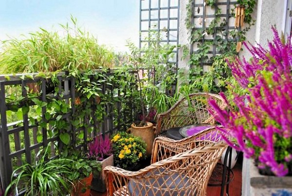 balkon dizaynı