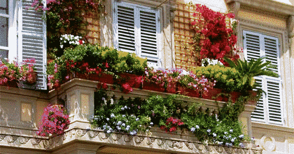 cıvıl cıvıl balkon dekorasyonu